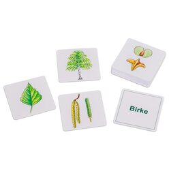 Willst du's wissen? B�ume