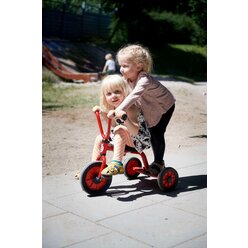 Winther� MINI VIKING Krippendreirad mit Steg 8600442