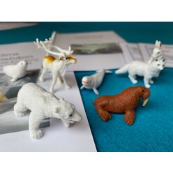 Forscherset zur Klimaver�nderung, BM 343