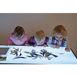 Gro�er Leuchttisch, 180 x 60 cm, h�henverstellbar 66,5 bis 83,5 cm