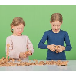 FabBrix Holzbausteine aus Buchenholz 300er-Set im Leinens�ckchen  (nur solange der Vorrat reicht!)