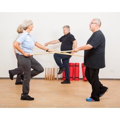 Gymnastik Stab Turnstab Holz 100 cm (10 St�ck)