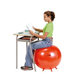 Gymnic Sit�n�Gym 55 BRQ rot, 55 cm