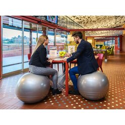 Memory Ball 65cm, grau