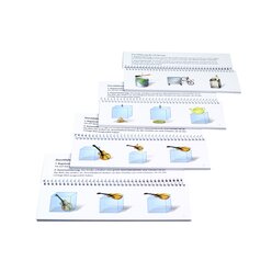 Kon-Lab LexPack Pr�positionen, 16 Ringb�cher + 2 Hefte, 0-10 Jahre