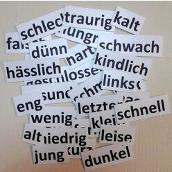Magnet-Set Gegens�tze, Folie und Textkarten