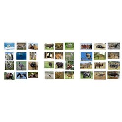 Indoor Spielteppich Tiere inkl. 36 K�rtchen