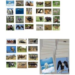 SpielMat Tiere, Sitz- und Spielmatte Outdoor inkl. Zubeh�r