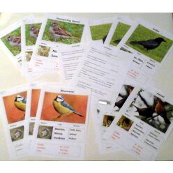 Magnetisches Set Standv�gel