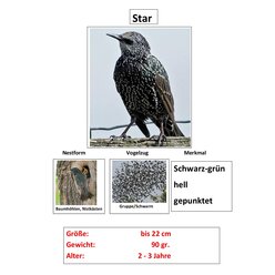 Zugv�gel, Magnetset, 24 Teile inkl. Arbeitsbl�tter