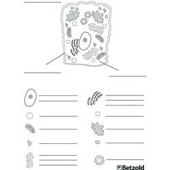 Gro�e magnetische Tierzelle, magnetisches Tafelmaterial, ab 12 Jahre