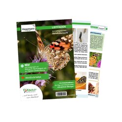 Zuchtset Schmetterlinge, Gutschein-Set, gro�, 12 Teile