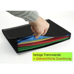 TimeTEX F�cher-Einsatz