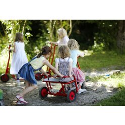 Winther� VIKING Doppeltaxi 8900468, 4-7 Jahre