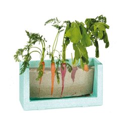 Wurzelsichthaus, Plexiglasbeh�lter inkl. Pflanzensamen und Erde