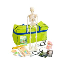 Meine K�rpertasche, Materialsammlung mit Skelett, 4-10 Jahre