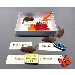 Silbenschrift Doppelkonsonanten in 10 Lesedosen, BM 242