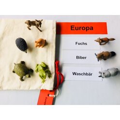 Tiere �berall auf unserer Erde, Lernmaterial