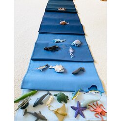 Tiere der Ozeane, Forscher-Set