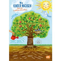 Wie Kinder wachsen � Baum der kindlichen Entwicklung, Poster A1