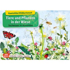 Kamishibai Bildkartenset - Tiere und Pflanzen in der Wiese, 6 bis 12 Jahre