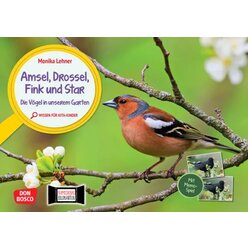 Kamishibai Bildkarten und Memo-Spiel - Amsel, Drossel, Fink und Star. Die V�gel in unserem Garten, 3-6 Jahre