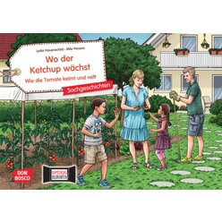Kamishibai Bildkartenset - Wo der Ketchup w�chst. Wie die Tomate keimt und reift, 4-8 Jahre