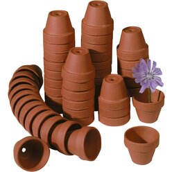 Mini-Tont�pfe 3,5 cm 50 St�ck