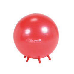 Gymnic Sit�n�Gym 55 BRQ rot, 55 cm