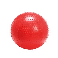 Gymnic Therasensory 100 cm, rot