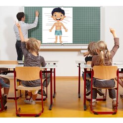 Magnetisches Tafel-Set Mein K�rper / my body