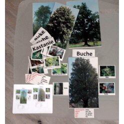 Outdoor-Set Laubb�ume