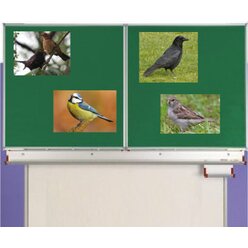 Magnetisches Set Standv�gel