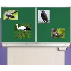 Zugv�gel, Magnetset, 24 Teile inkl. Arbeitsbl�tter