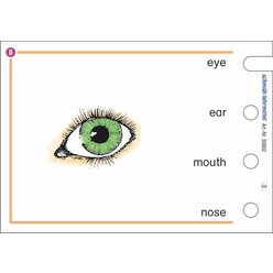 St�pselkarten 'Vocabulary II' ab 3. Klasse