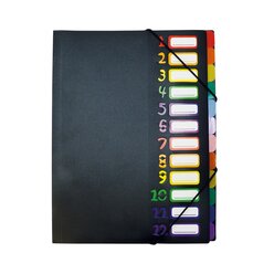 TimeTEX Tisch-F�chermappe A4, farbig mit Verschlussgummis