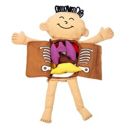 Forscher-Puppe Mein K�rper, Gr��e 47x50x7 cm, 9 Teile