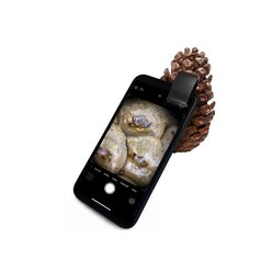 Handy-Mikroskop Super, 200-fache Vergr��erung, 35x65 mm