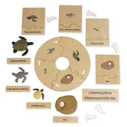 TimeTEX Lebenszyklus einer Schildkr�te, Lernspiel in Holzbox
