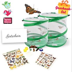 Zuchtset Schmetterlinge, Gutschein-Set, gro�, 12 Teile